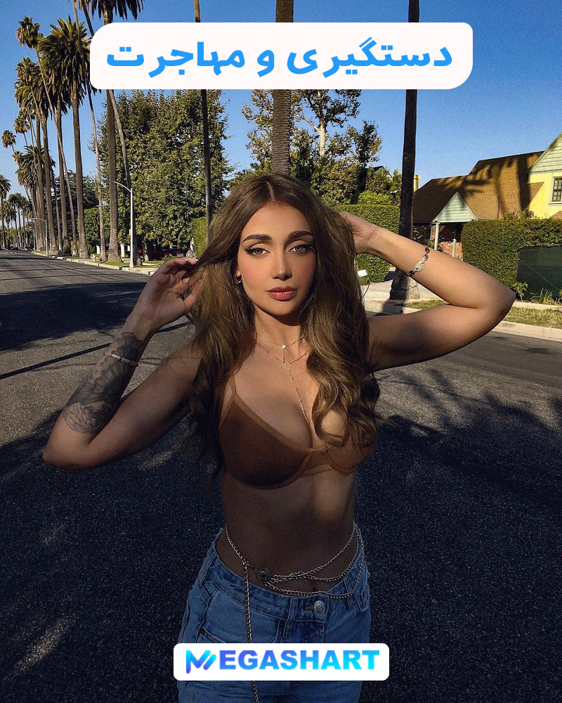 دستگیری و مهاجرت